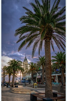 IMG_0567-Enhanced-NR